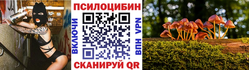 Псилоцибиновые грибы Cubensis Купить где Змеиногорск